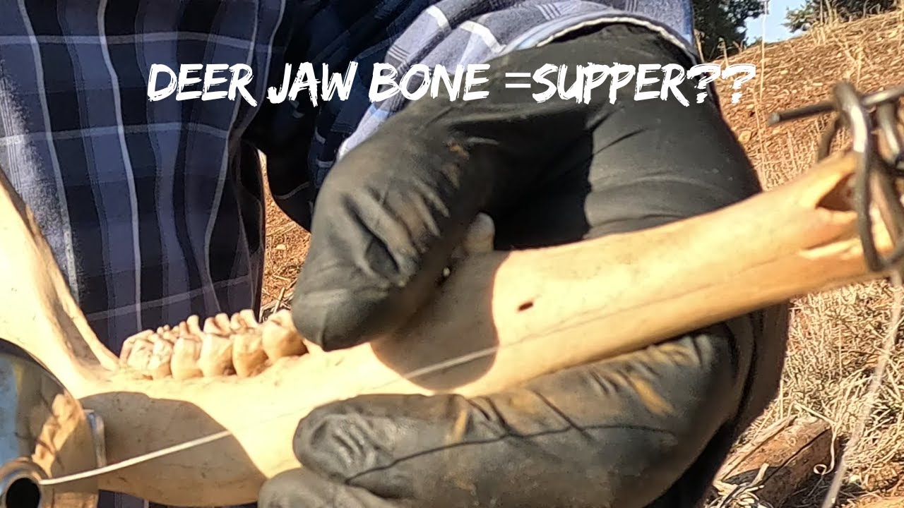 Can I Catch Supper with a Deer Jaw Bone?