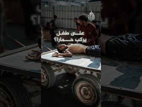 قتل الأطفال والحمير.. هذا ما طالب به وزراء إسرائيليون