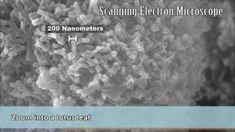 Nanoparticle Size Demonstration