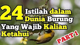 Bird Breeding Terminology, What Does 