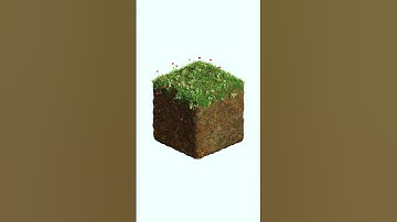 Realistic Minecraft Block #shorts