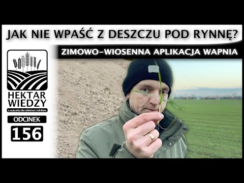 Wideo: Jak pozbyć się aplikacji wiosennej?