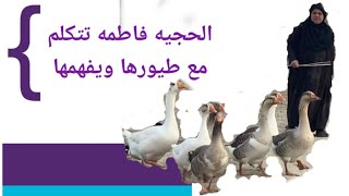 الحجيه فاطمه البطه مالتها شردت وفطيم صارت عصبيه والبطوط يفهم كلامها #المغامر_زوني_كلاسك