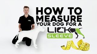 How to Measure Your Dog for a Lick Sleeve with Dr. Allman, DACVS-SA by Lick Sleeve 500 views 1 year ago 55 seconds