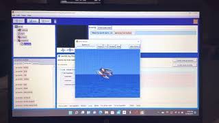 Seaplane Loop