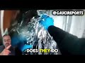 🚨SHOCKING: British Police Caught on Bodycam Assaulting Handcuffed Man in Van