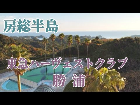 【千葉房総半島】会員でなくても宿泊可能！ 東急ハーヴェストクラブ勝浦 /全室オーシャンビュー /展望温泉 /勝浦朝市 /勝浦海中展望塔 / Tokyu Harvest Club Katsuura