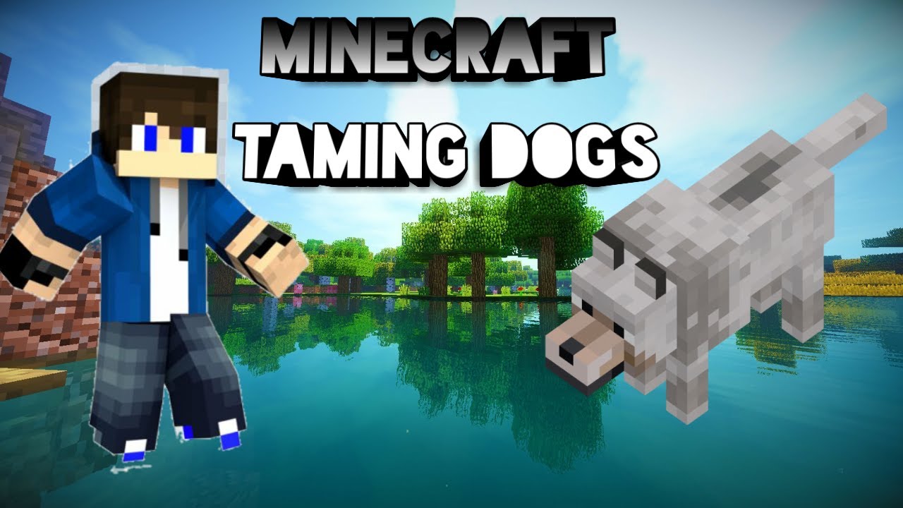 How to tame 🐕 dogs in Minecraft survival - YouTube