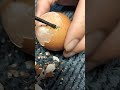 Don't Breathe! Tense Raw Egg Peeling Challenge
