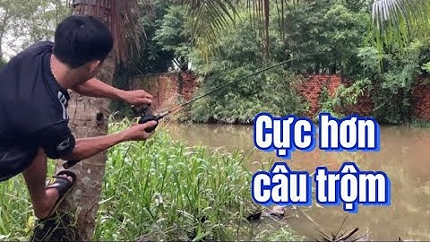 Câu cá lóc | có nhớt là vui rồi | rong chơi miền tây #fishing #lurecaloc