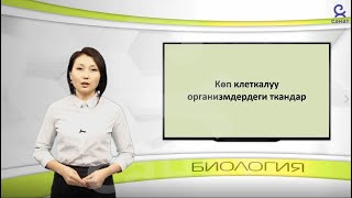 картинка: Биология 9 класс 27 сабак