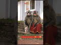 @Jaaneman shaadi kar li@short video facial comedy ♥️❤️🥰 heat Ranju Devi