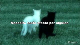 картинка: Автоспорт (Avtosport) - Песня о привязанност (Canción De Cariño) // SUB ESPAÑOL