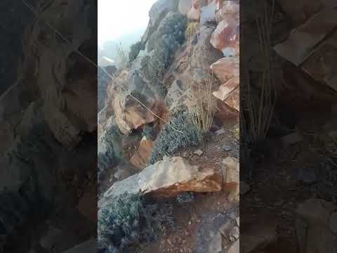 الطريق إلى اضاض مدني 