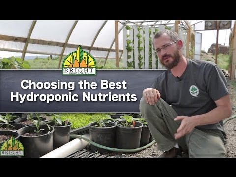 The Best Hydroponic Nutrients For Your System