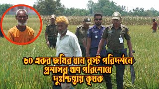 কৃষক কস্ট করে ধান উৎপাদন করলো। আর মুহুর্তেই সব শেষ।