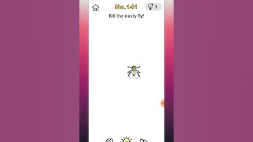 Brain Out Level 141 Kill the nasty fly