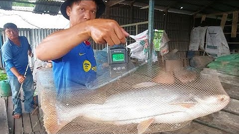 Câu Cá Cồn TÂN LỘC Thốt Nốt Cần Thơ @7liem123