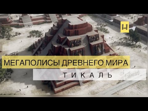 Бейне: Текаль қапшығы қайда?