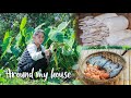 The vegetable around my house | Collect some taro and mushroom | Vegetable fish egg soup