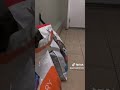 Willy video