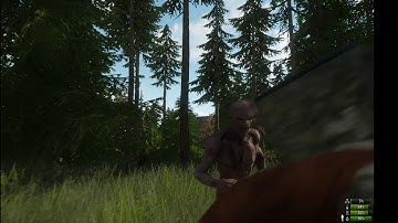 Shots going off / Sighting of a person / Mutant | miscreated