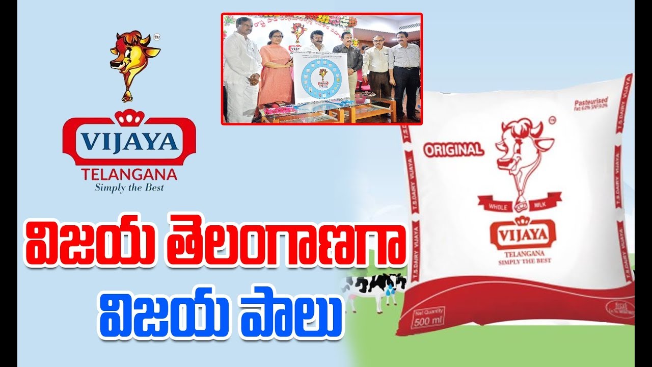 విజయ తెలంగాణగా విజయ పాలు Vijaya Dairy Milk Now Telangana Vijaya Dairy