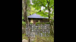 瞑想者の生き方 日本禅密気功研究所 朱剛