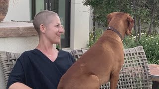 Celebrity Local cancer survivor prepares to welcome first child with neighbor's help Profile
