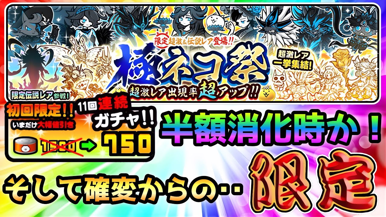 Extreme Cat Festival - Half Price Consumption!? And Super Rapid 