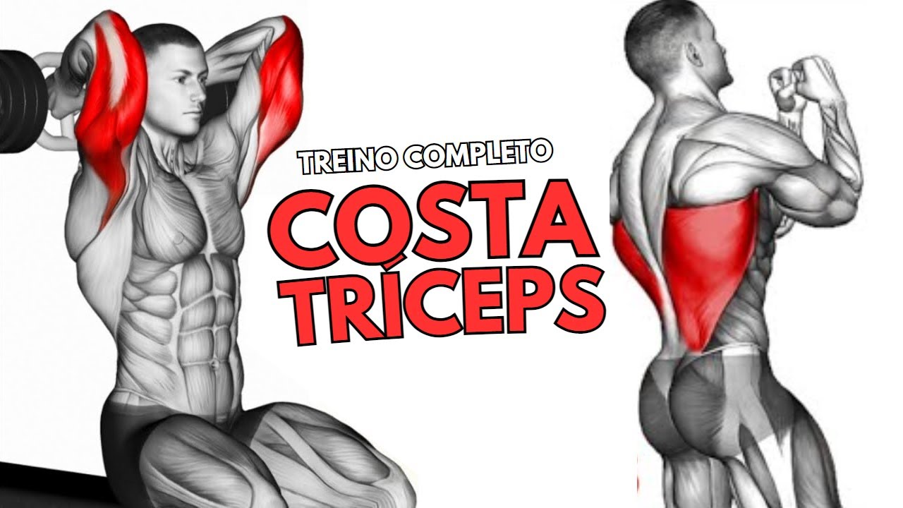TREINO COMPLETO DE COSTA E TRÍCEPS - YouTube