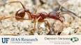 The Intriguing World of Ants: From Colony Dynamics to Ecological Impact ile ilgili video