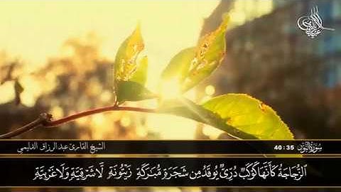 تلاوة مباركة من سورة النور I المقرئ عبدالرزاق الدليمي