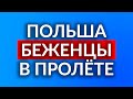 ПОЛЬША. НОВЫЙ ЗАКОН ДЛЯ КОГО? Что получат украинцы в Польше?