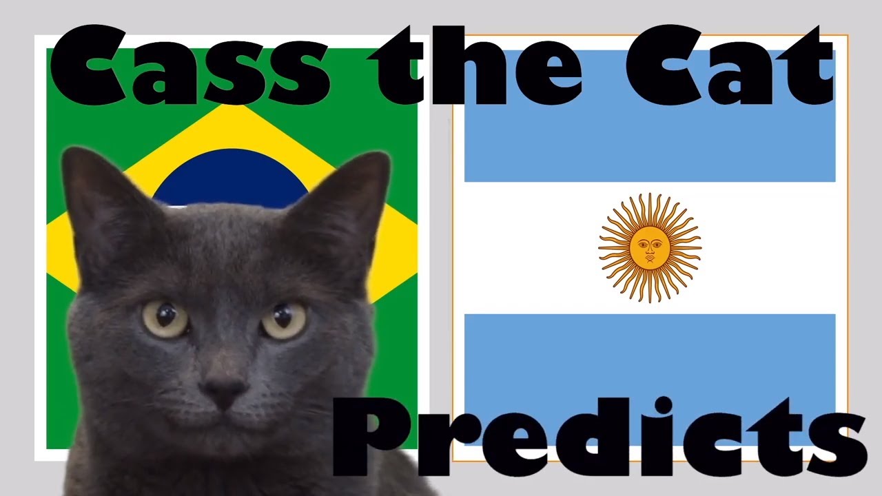 2019 COPA AMÉRICA PREDICTIONS – SEMI FINAL - BRAZIL vs ARGENTINA – CASS THE CAT 2019 COPA AMÉRICA PREDICTIONS – SEMI FINAL - BRAZIL vs ARGENTINA – CASS THE CAT