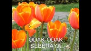 Odak-Odak Seberaya