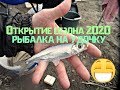 Рыбалка на поплавочную удочку 2020-Ловля уклейки и плотвы весной 2020-Рыбалка на Суре