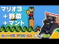 【マリオアドバンス4】徹底解説！カードe+を使った遊びがスゴい!!