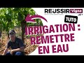 Le tutoriel russir vigne  irrigation  remettre son systme en eau
