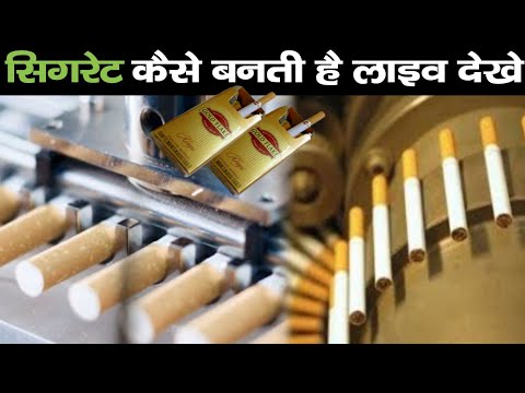 सिगरेट कैसे बनती है लाइव देखे! Cigarette Kaise Banti hai | Cigarette Manufacturing