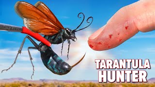 STUNG by Americas Most Painful Wasp! (Extreme Sting Test)