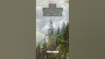 معنى كلمة :(يتمطىٰ)٢٣٢-شرح مفردات غريب القرآن/سورة القيامة،الشيخ خالد الحرمي.