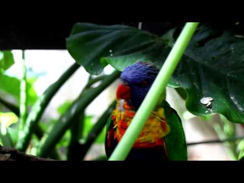 【Canon EOS M】Full HD 實拍C © Mobile01