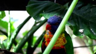 【Canon EOS M】Full HD 實拍C © Mobile01