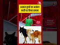 Greater Noida में आवारा कुत्तों का आतंक! बच्ची पर किया हमला#aajtak #shorts #streetdogs #dogbitecases
