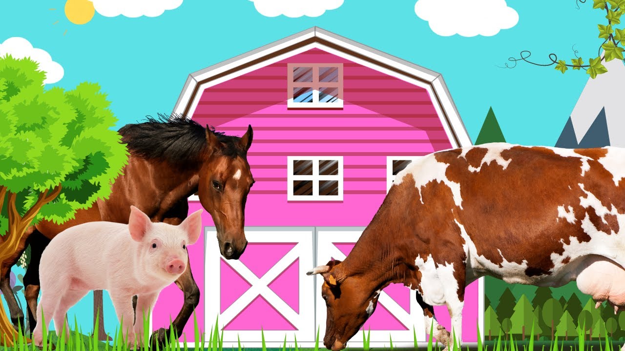 Harmony on the Farm Captivating Sounds of Farm Animals cows, pigs, goats, geese, chickens