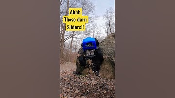 Axial Scx10 Pro #axial #axial #scx10 #scx10pro