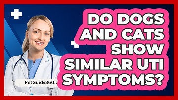 Do Dogs And Cats Show Similar UTI Symptoms? - PetGuide360.com