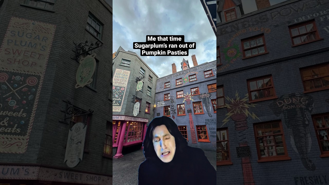 DIAGON ALLEY | Wizarding World Treats | Universal Studios FL 