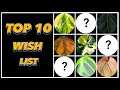 Top 10 plants i want spring 2024